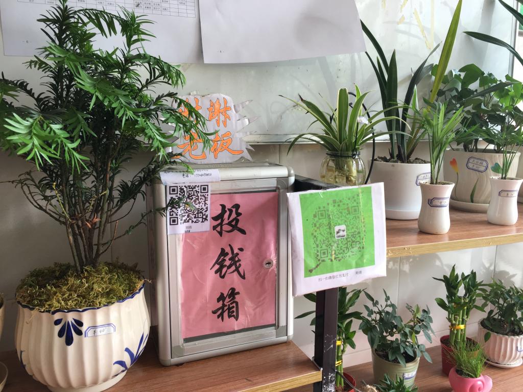 福建林业职业技术学院创建 诚信花屋 坚持实践育人 学生资助中心