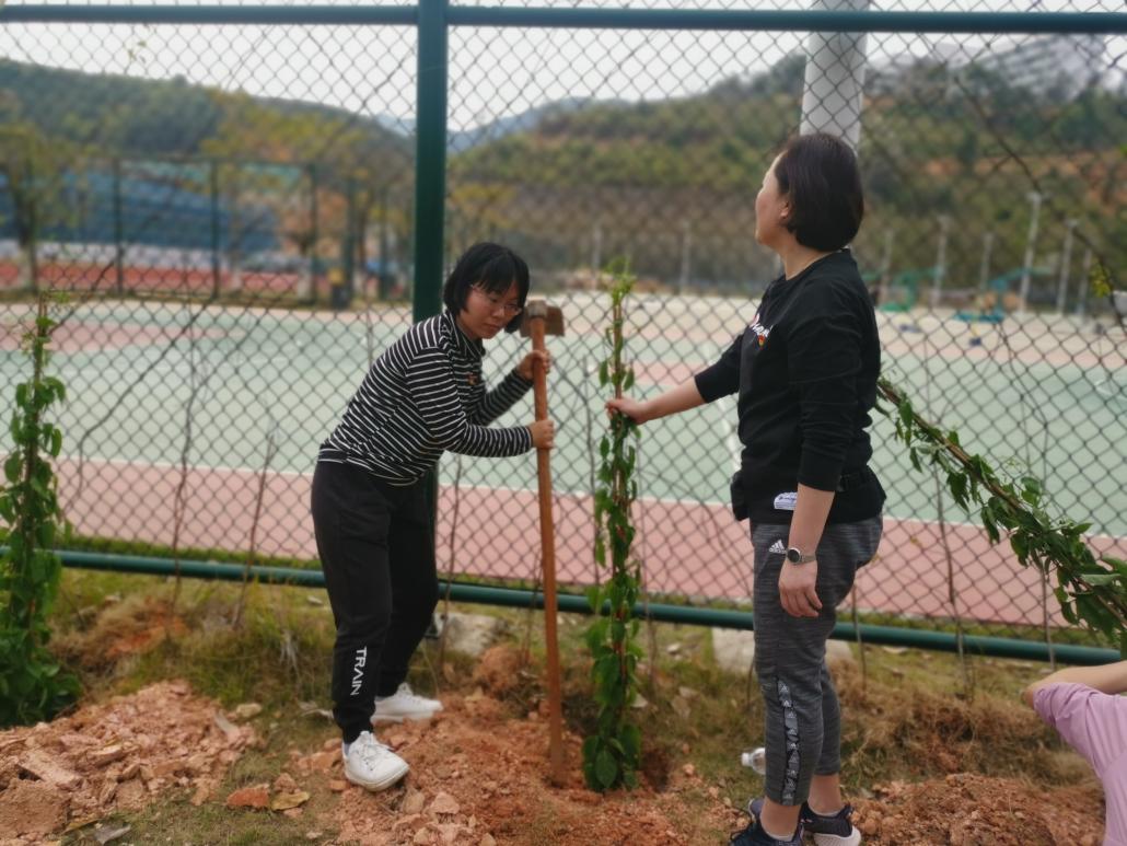 植树节