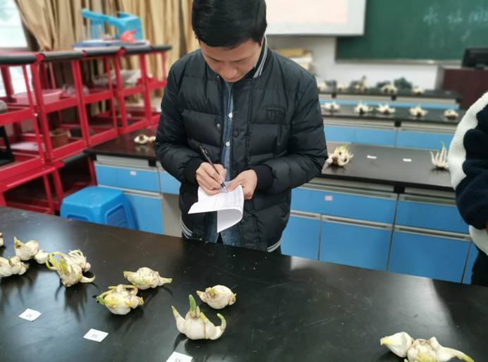 说明: IMG_256