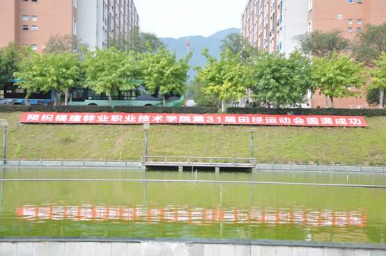 说明: H:\20191023-学院第31届田径运动会开幕式\33.JPG