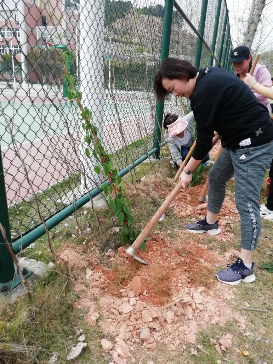 植树节2