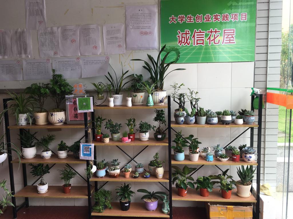 福建林业职业技术学院创建 诚信花屋 坚持实践育人 学生资助中心