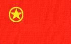 中国共青团团旗