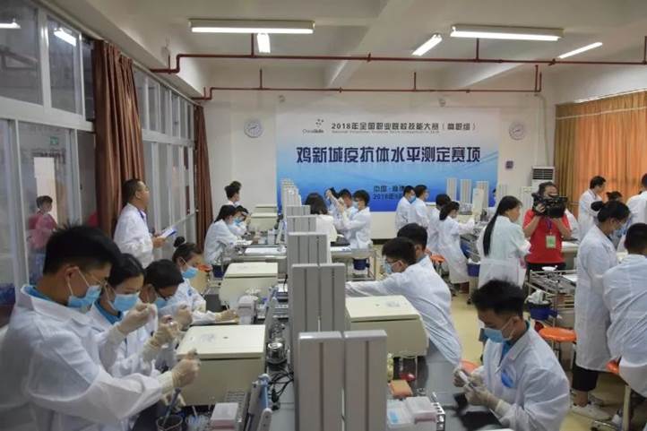 微信图片_20180528173255