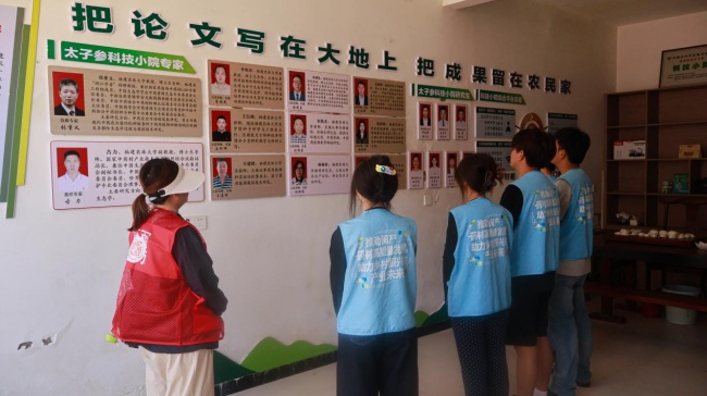 园林青年赴柘荣: 数智文商旅赋能太子参产业振兴